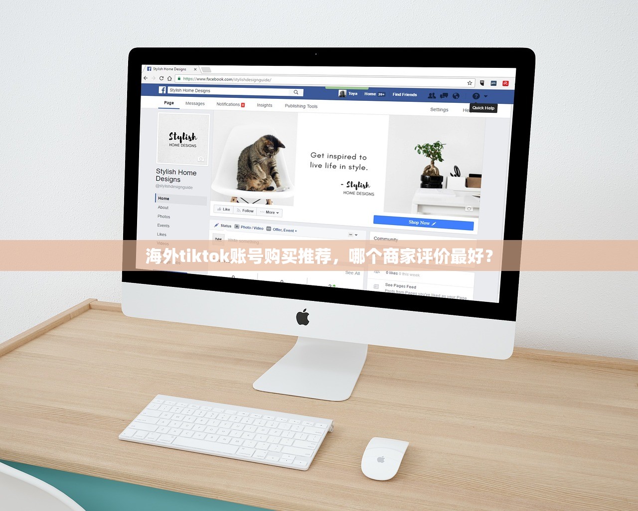 海外tiktok账号购买推荐,哪个商家评价最好?