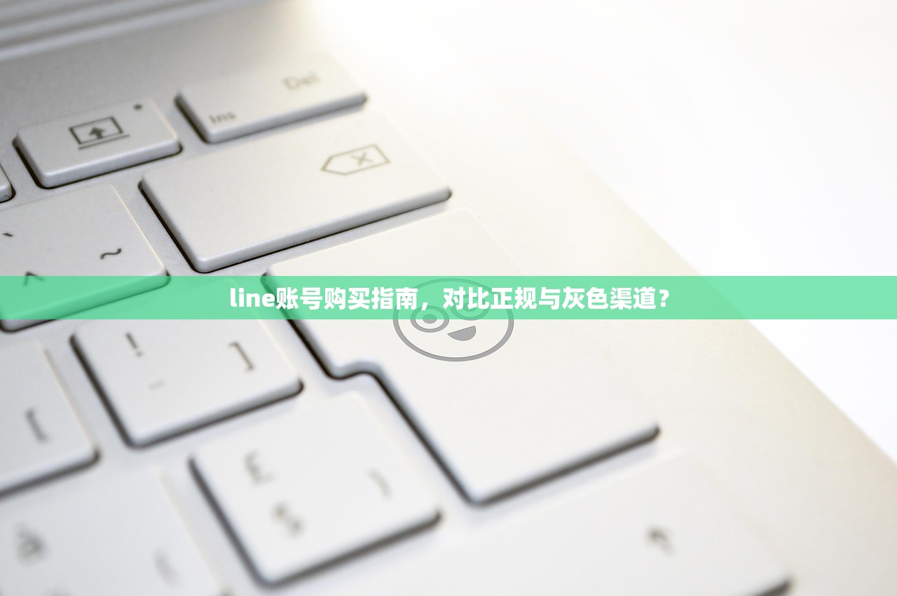 line账号购买指南，对比正规与灰色渠道？