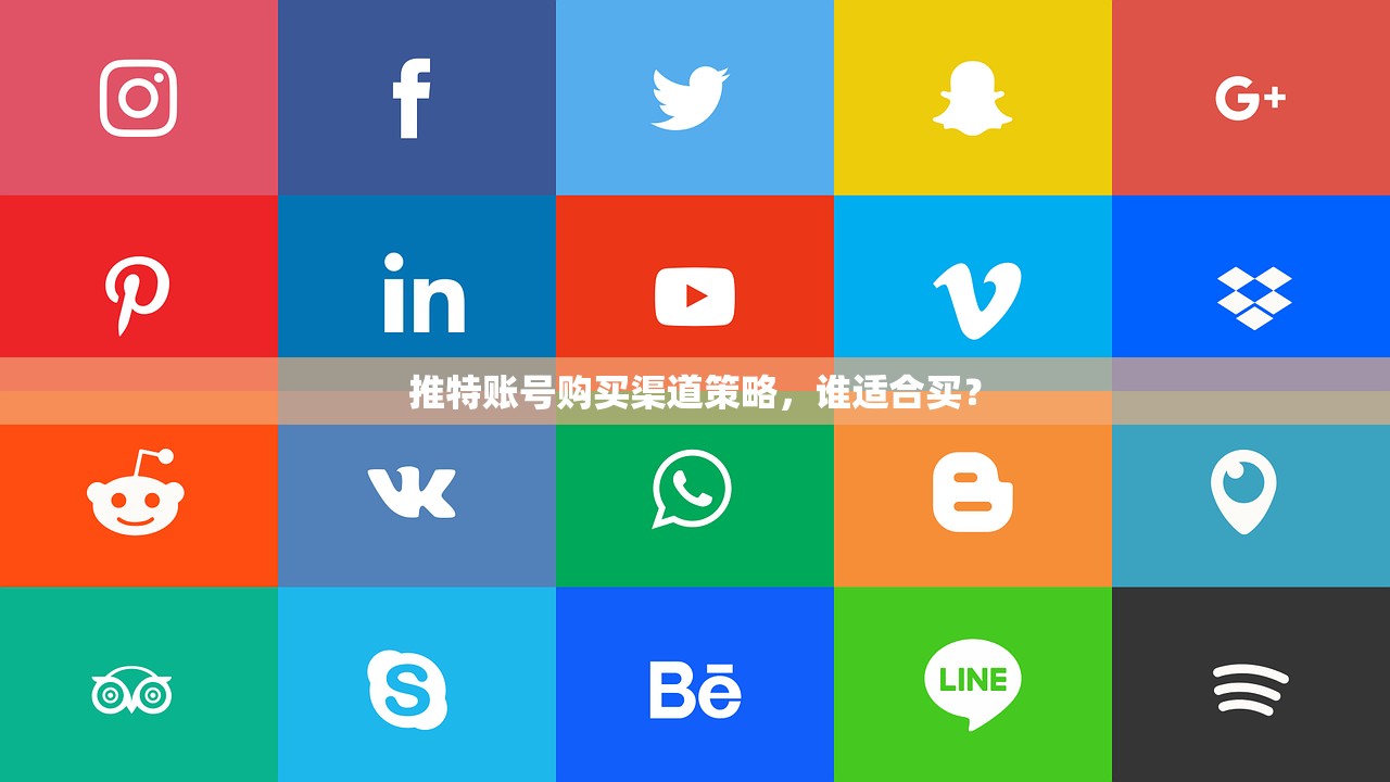 推特账号购买渠道策略,谁适合买?