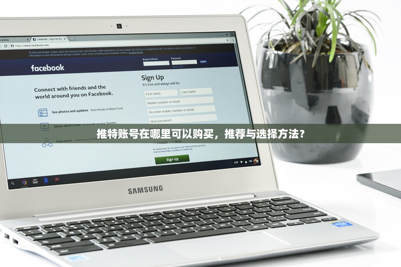 推特账号在哪里可以购买,推荐与选择方法?