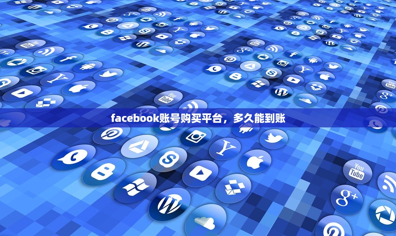 facebook账号购买平台,多久能到账