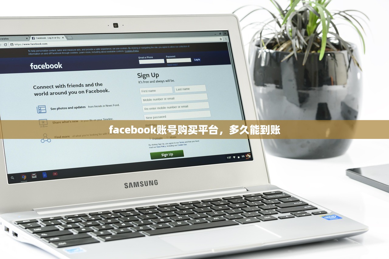 facebook账号购买平台,多久能到账
