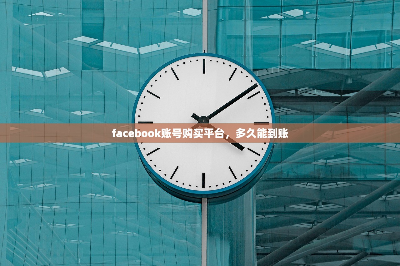 facebook账号购买平台,多久能到账