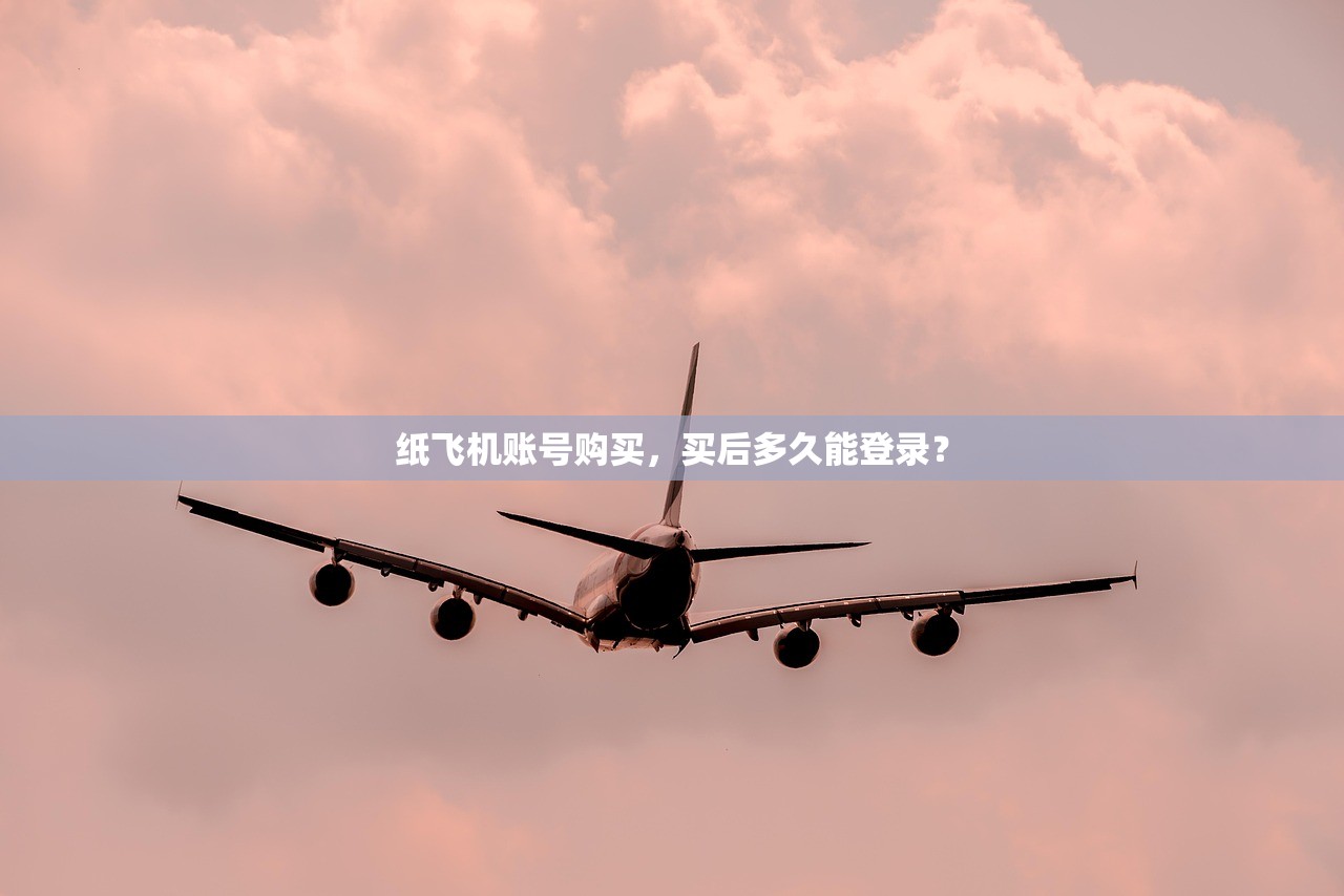 纸飞机账号购买，买后多久能登录？