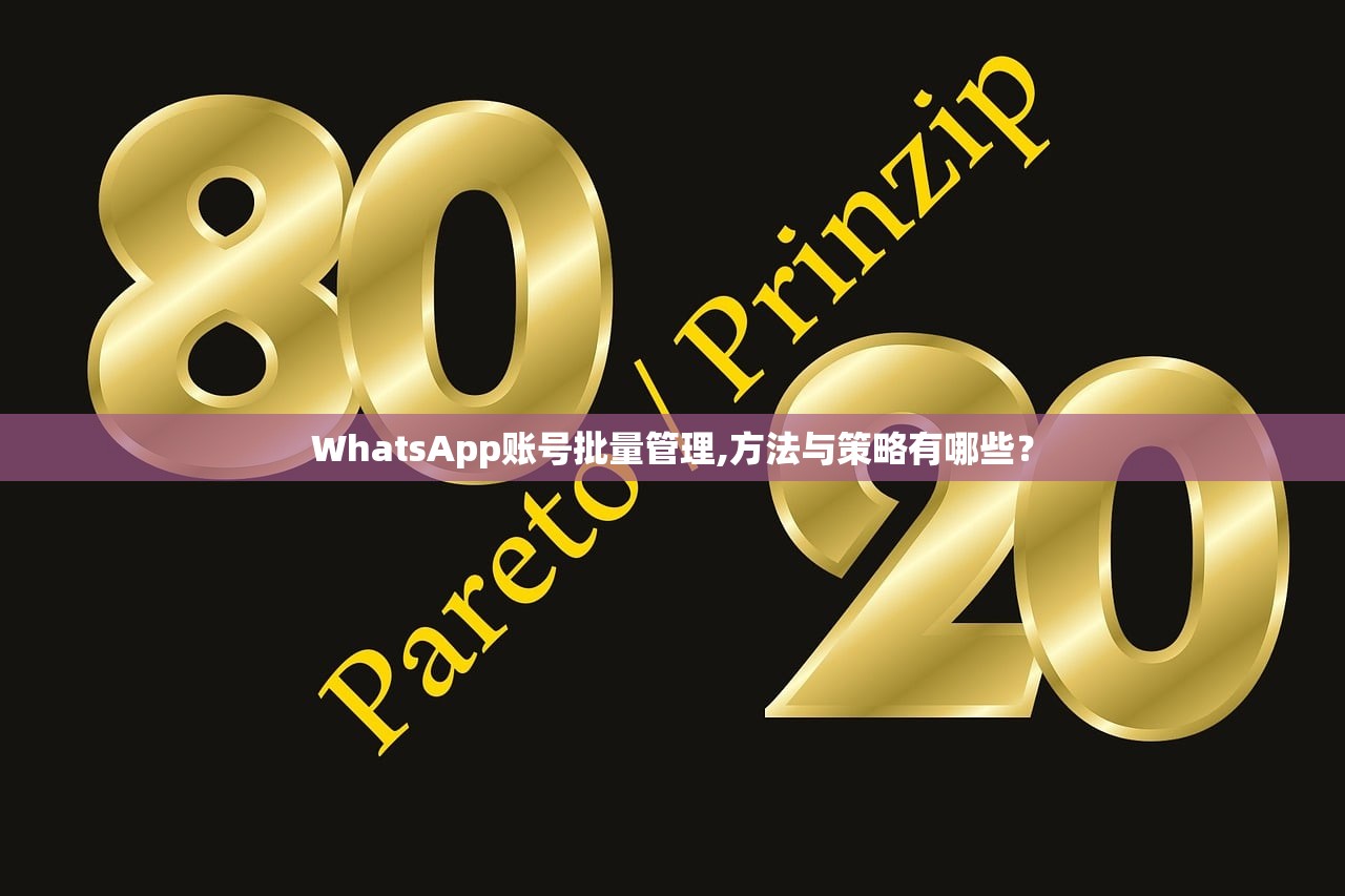 WhatsApp账号批量管理,方法与策略有哪些?