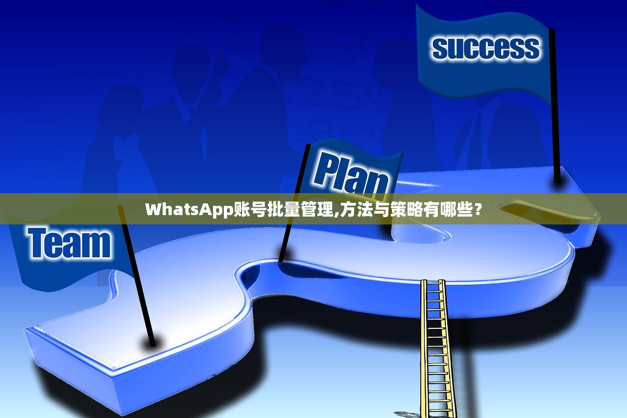 WhatsApp账号批量管理,方法与策略有哪些?