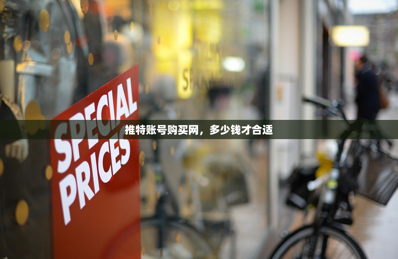 推特账号购买网,多少钱才合适