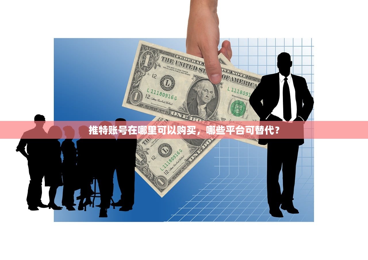 推特账号在哪里可以购买,哪些平台可替代?