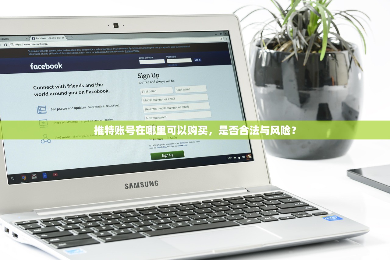 推特账号在哪里可以购买,是否合法与风险?