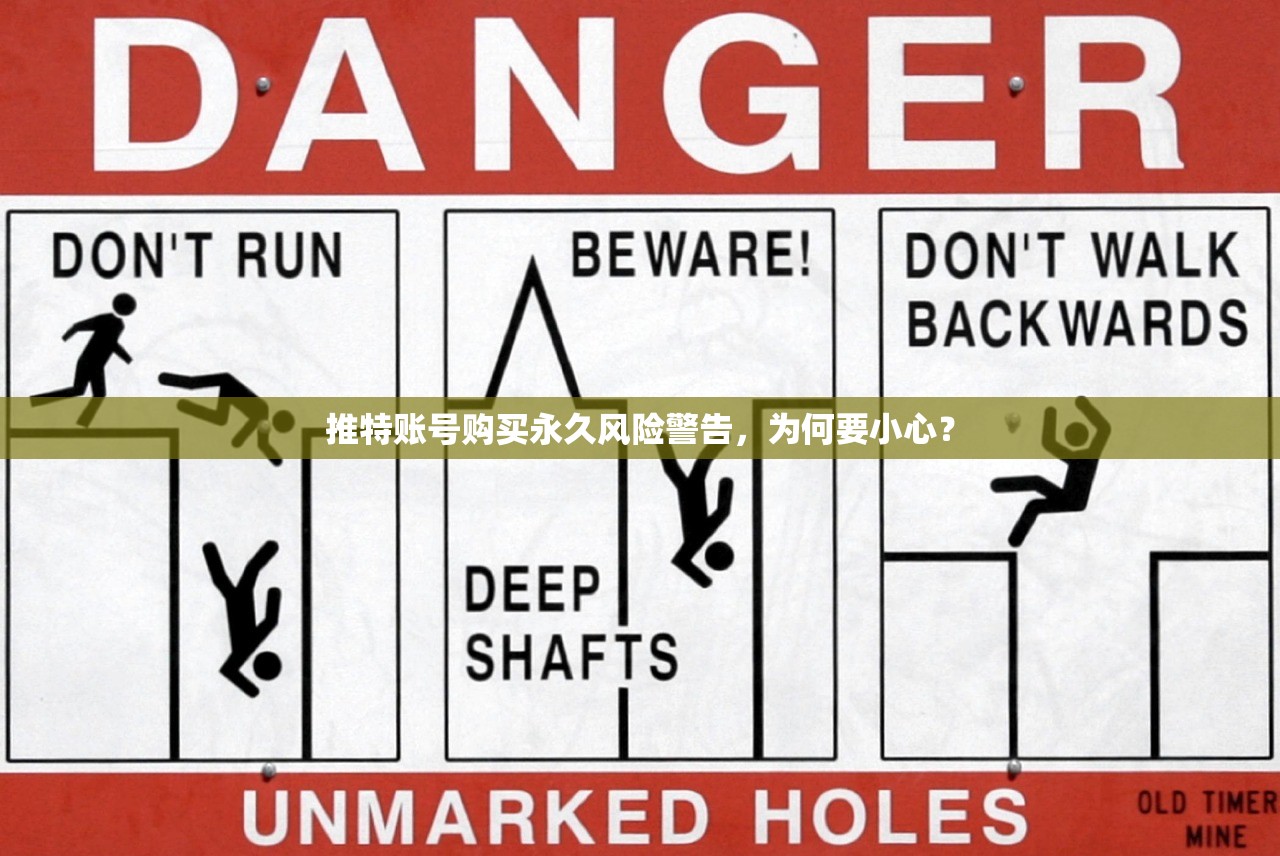 推特账号购买永久风险警告,为何要小心?