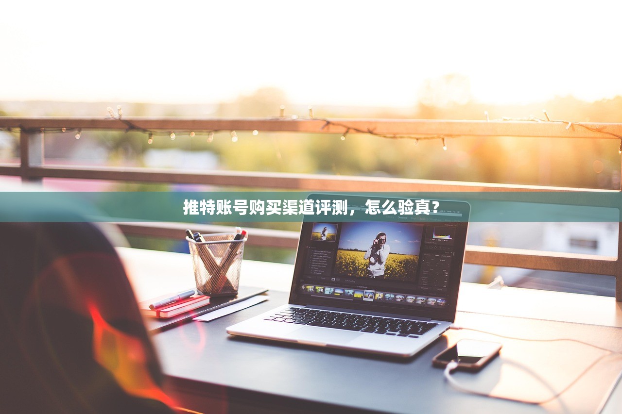 推特账号购买渠道评测，怎么验真？