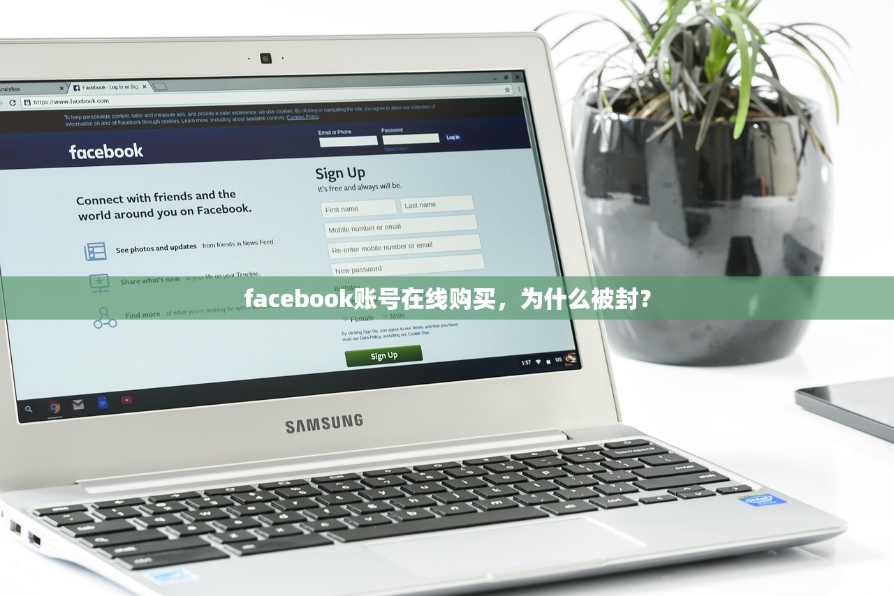 facebook账号在线购买，为什么被封？