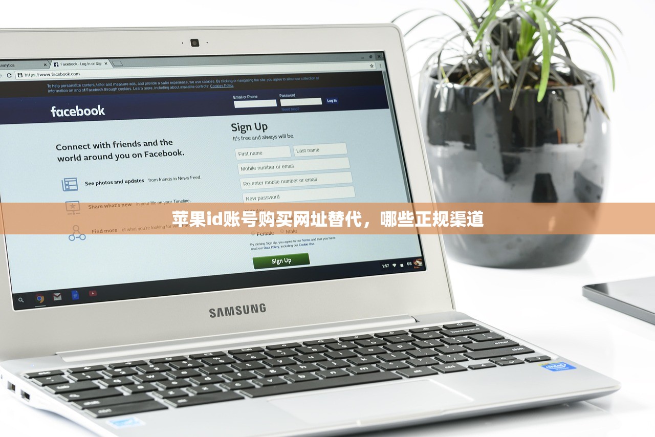 苹果id账号购买网址替代,哪些正规渠道
