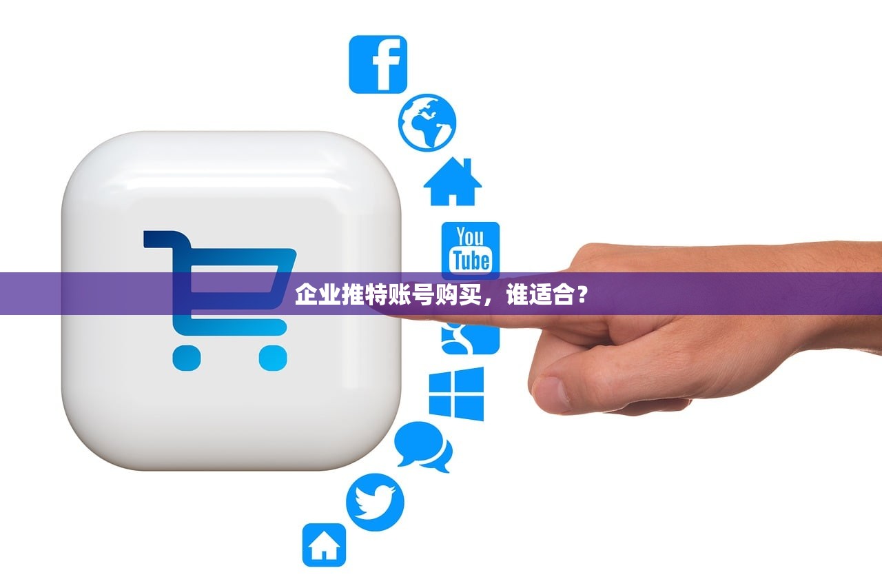 企业推特账号购买，谁适合？