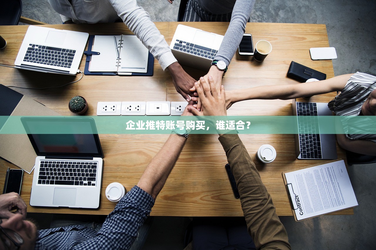 企业推特账号购买,谁适合?