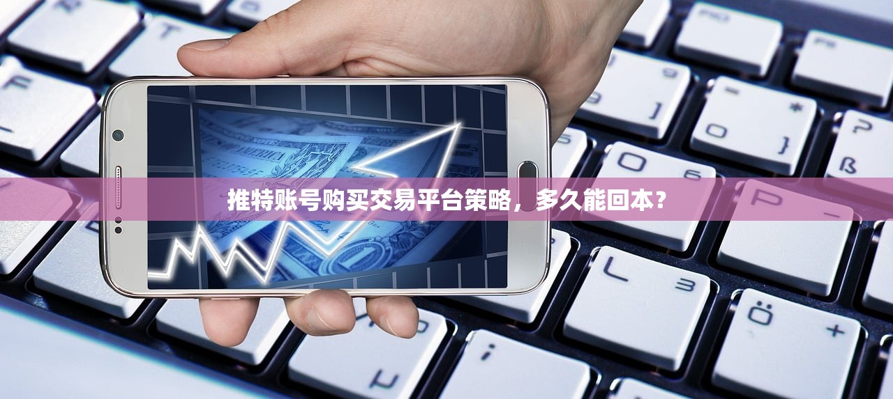 推特账号购买交易平台策略,多久能回本?