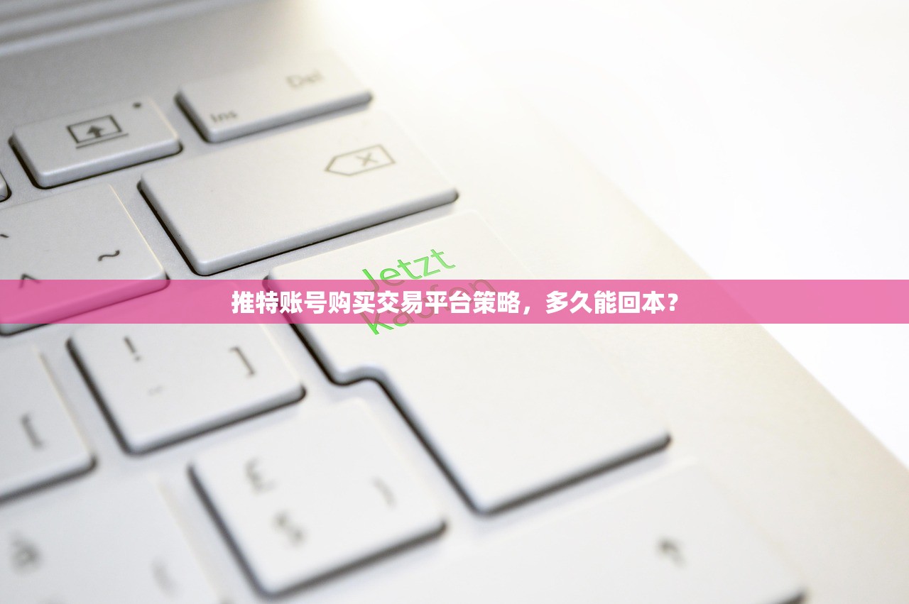 推特账号购买交易平台策略,多久能回本?