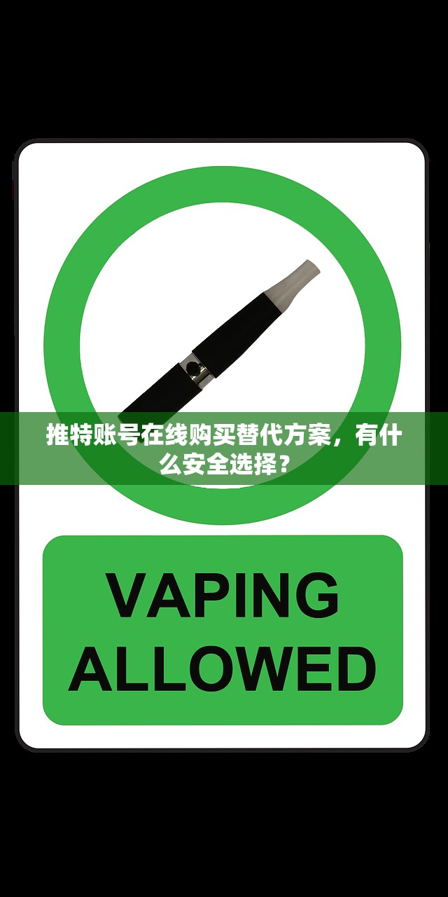 推特账号在线购买替代方案，有什么安全选择？