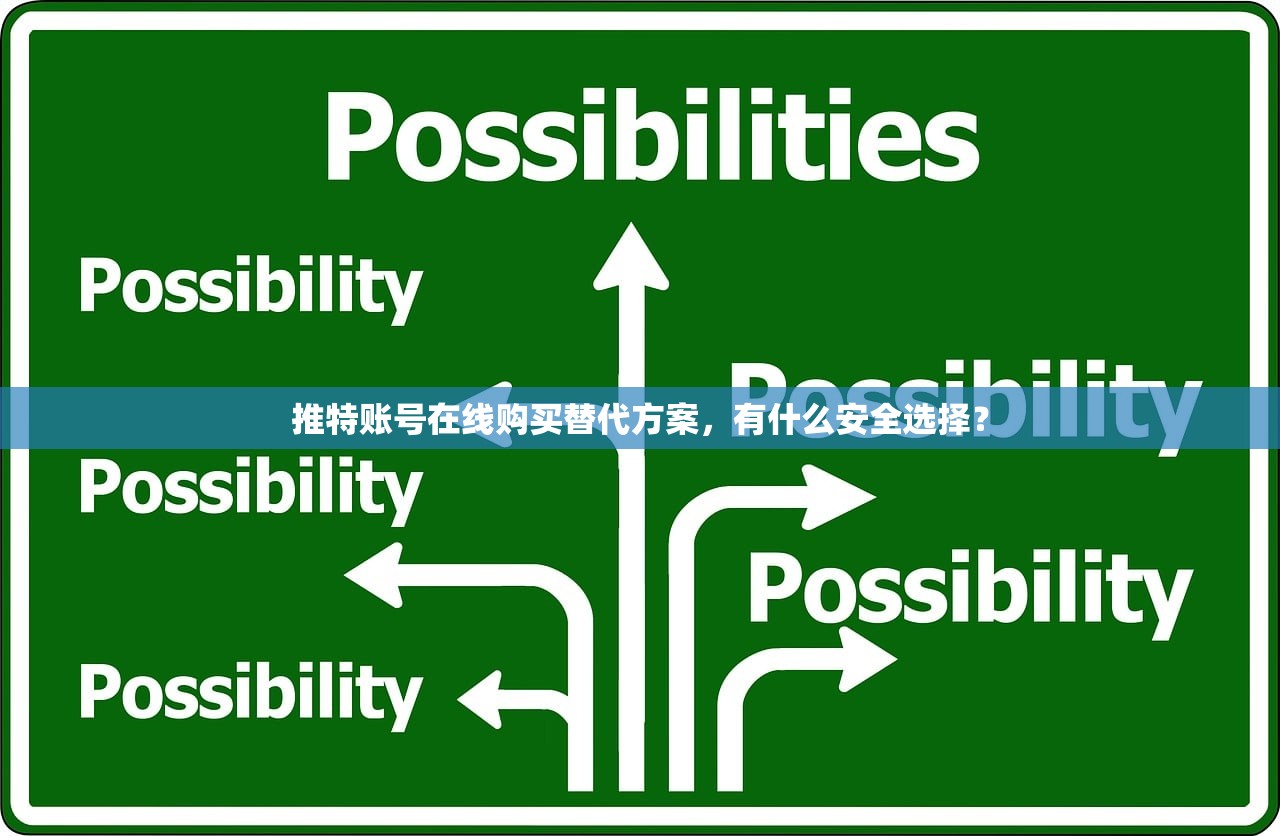 推特账号在线购买替代方案,有什么安全选择?