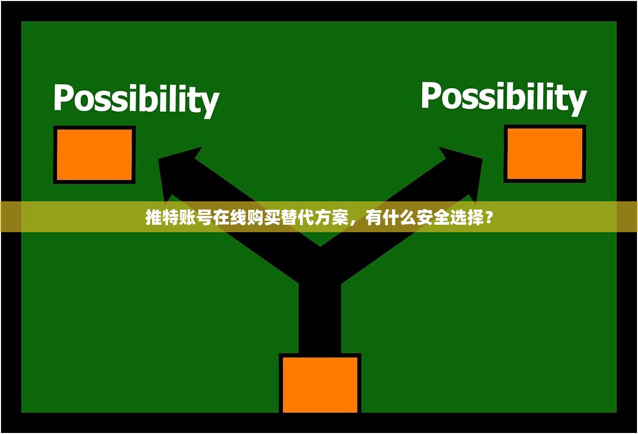 推特账号在线购买替代方案,有什么安全选择?