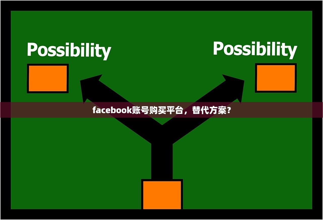 facebook账号购买平台,替代方案?