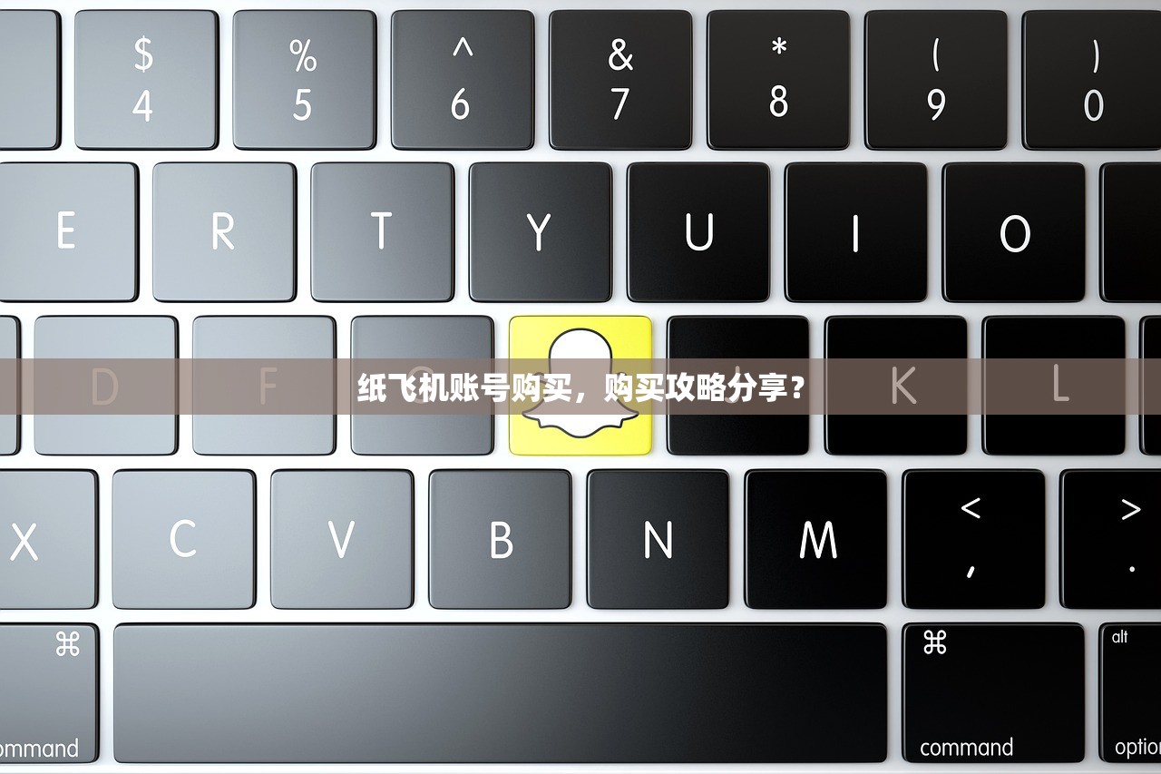 纸飞机账号购买,购买攻略分享?