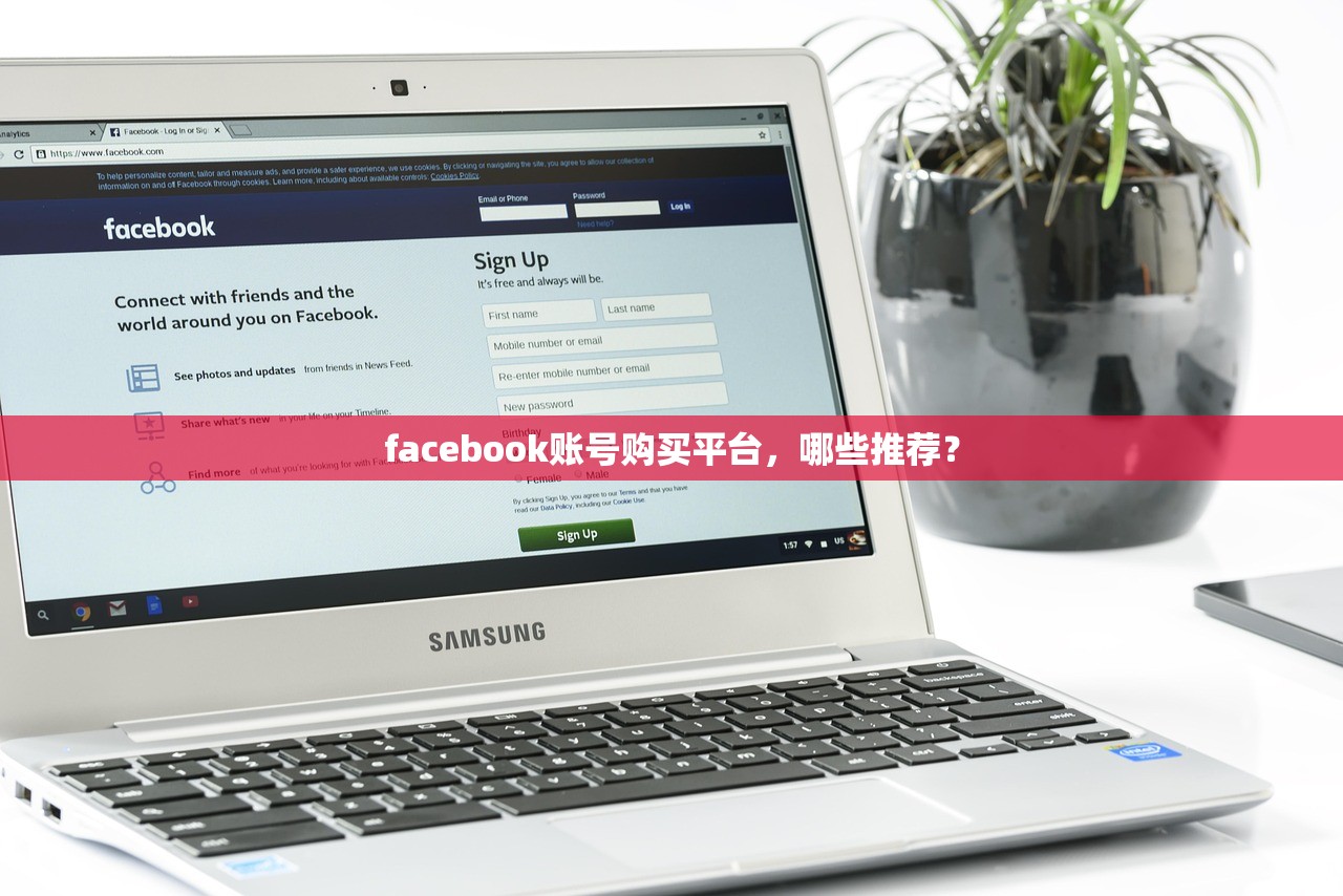 facebook账号购买平台，哪些推荐？