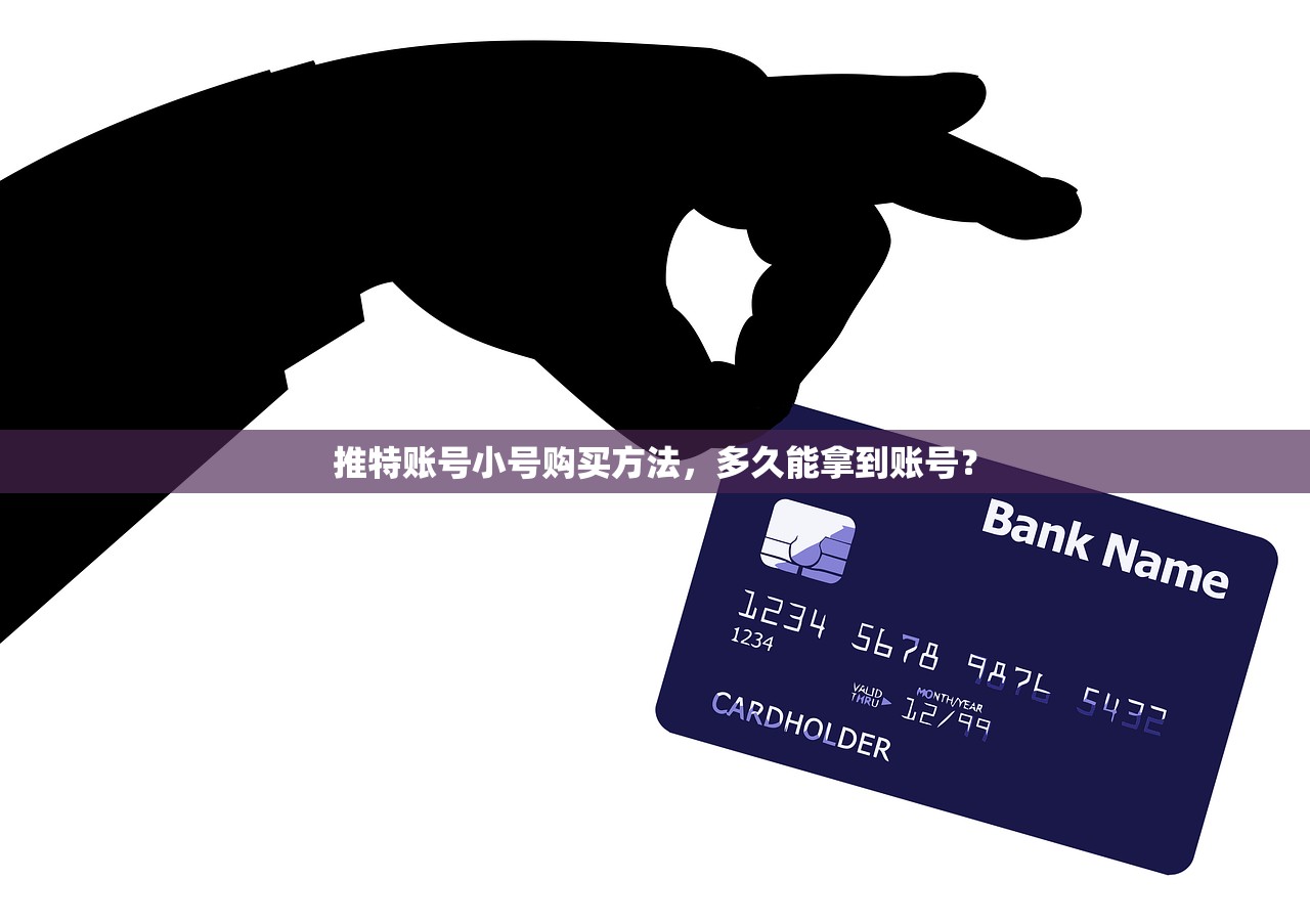 推特账号小号购买方法,多久能拿到账号?