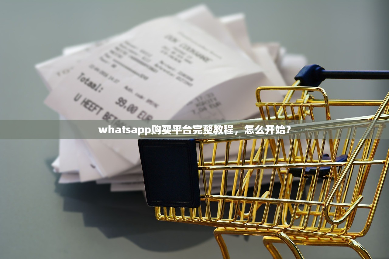 whatsapp购买平台完整教程，怎么开始？