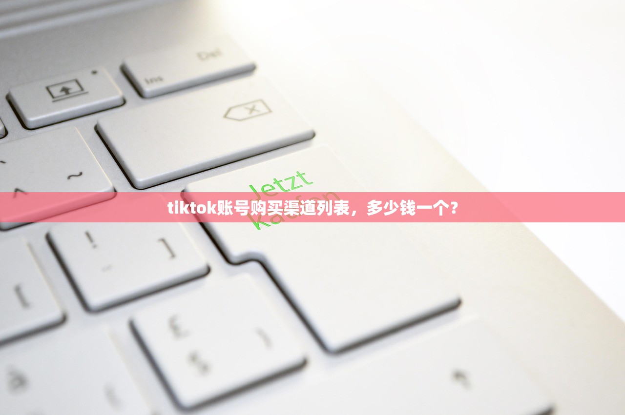 tiktok账号购买渠道列表，多少钱一个？