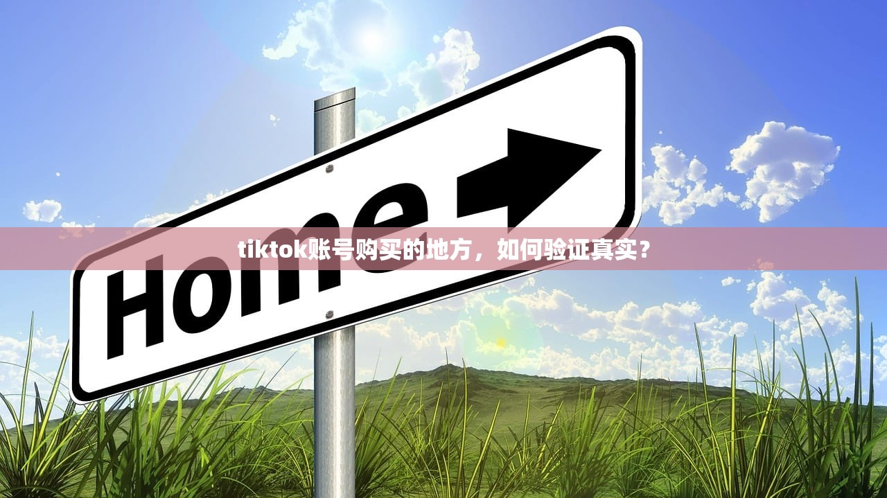tiktok账号购买的地方,如何验证真实?