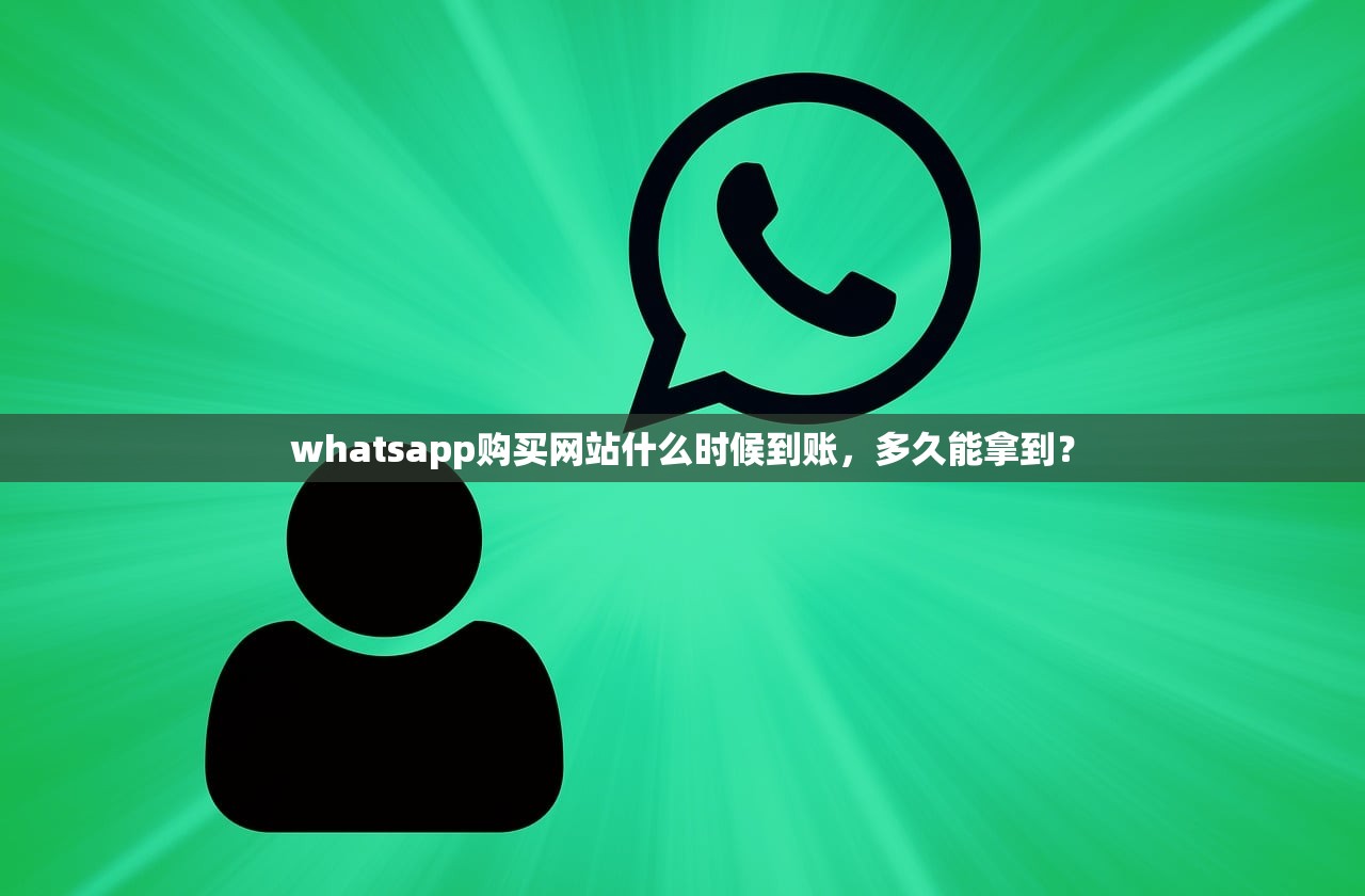 whatsapp购买网站什么时候到账，多久能拿到？