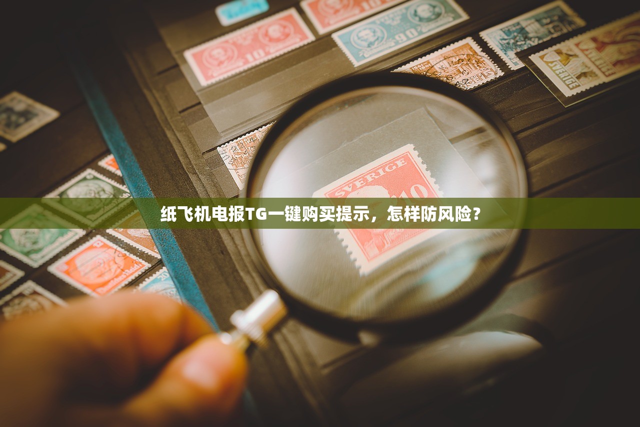 纸飞机电报TG一键购买提示，怎样防风险？