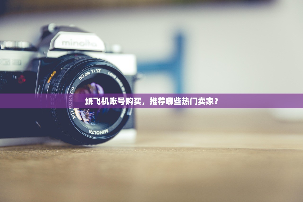 纸飞机账号购买，推荐哪些热门卖家？