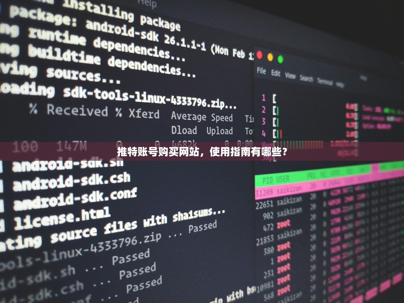 推特账号购买网站,使用指南有哪些?