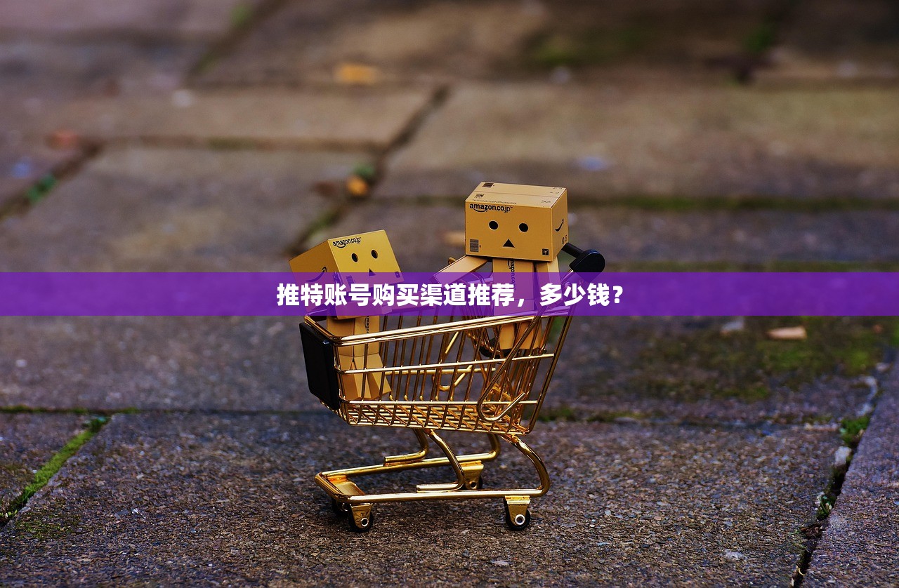 推特账号购买渠道推荐，多少钱？