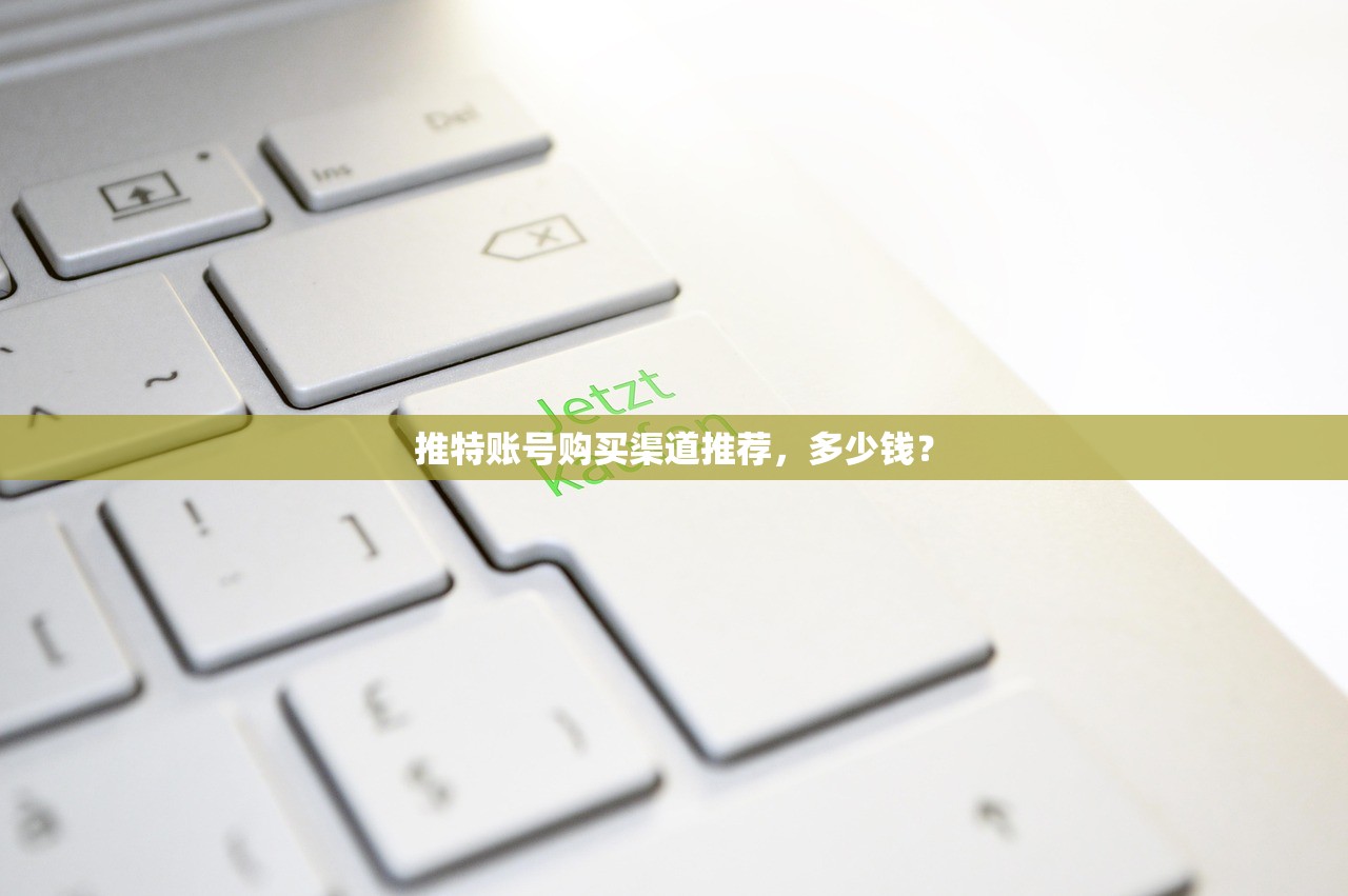 推特账号购买渠道推荐,多少钱?