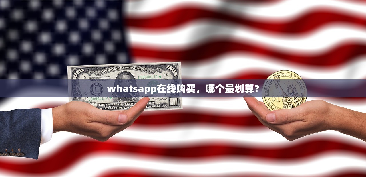 whatsapp在线购买，哪个最划算？