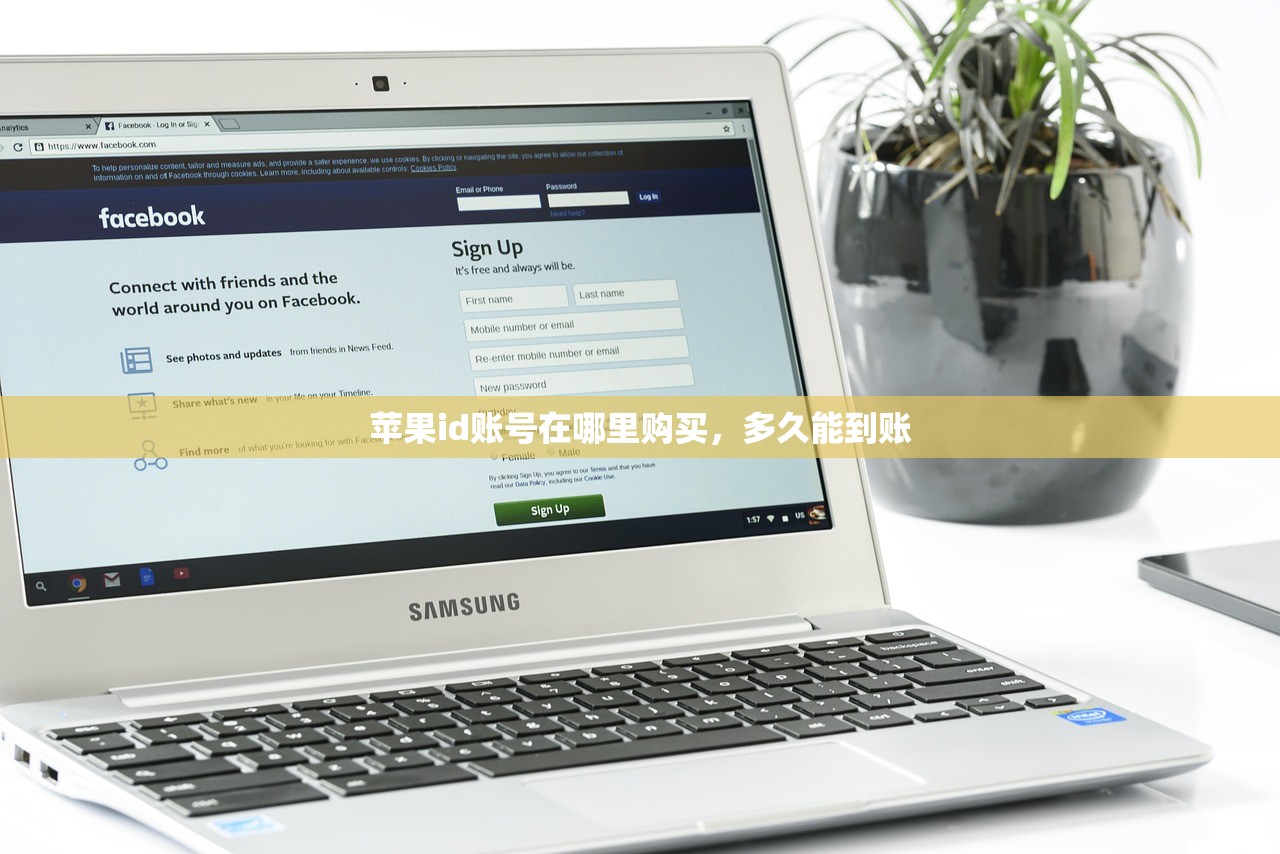 苹果id账号在哪里购买,多久能到账