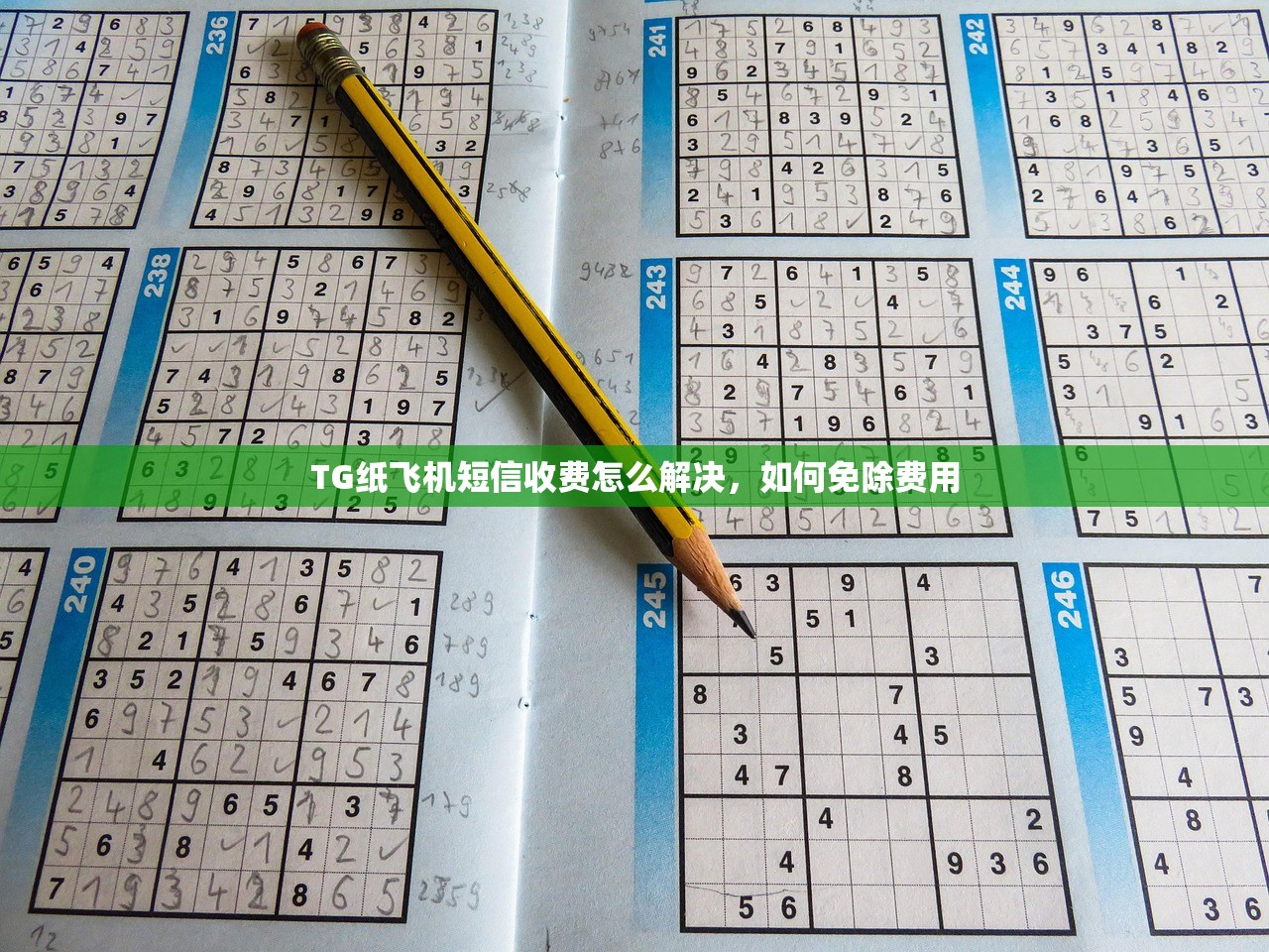 TG纸飞机短信收费怎么解决,如何免除费用