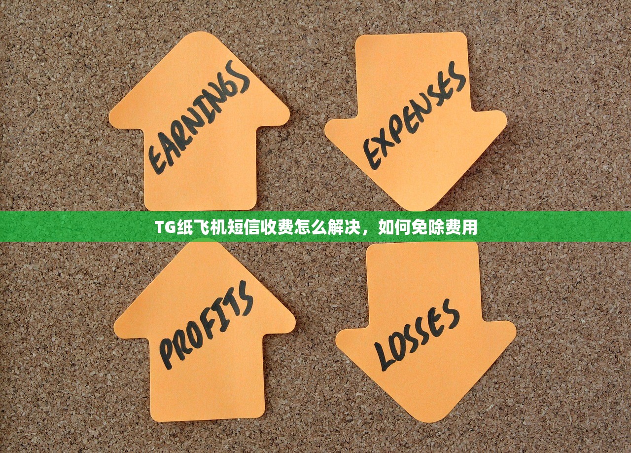 TG纸飞机短信收费怎么解决,如何免除费用