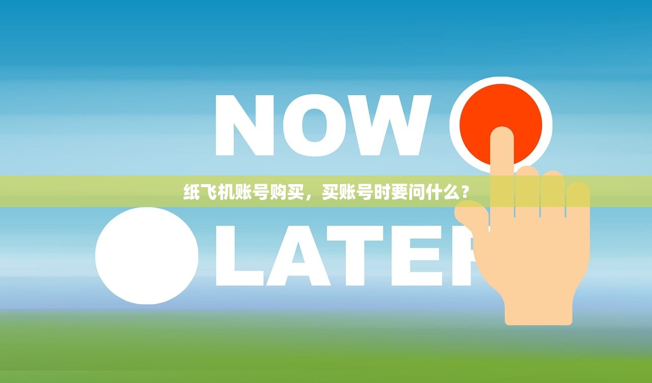 纸飞机账号购买,买账号时要问什么?