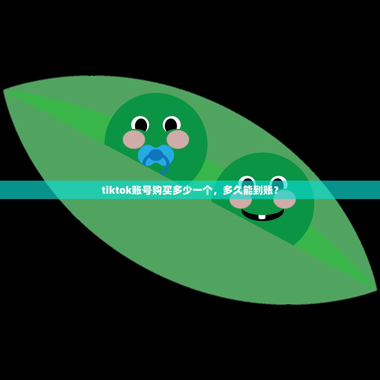 tiktok账号购买多少一个,多久能到账?