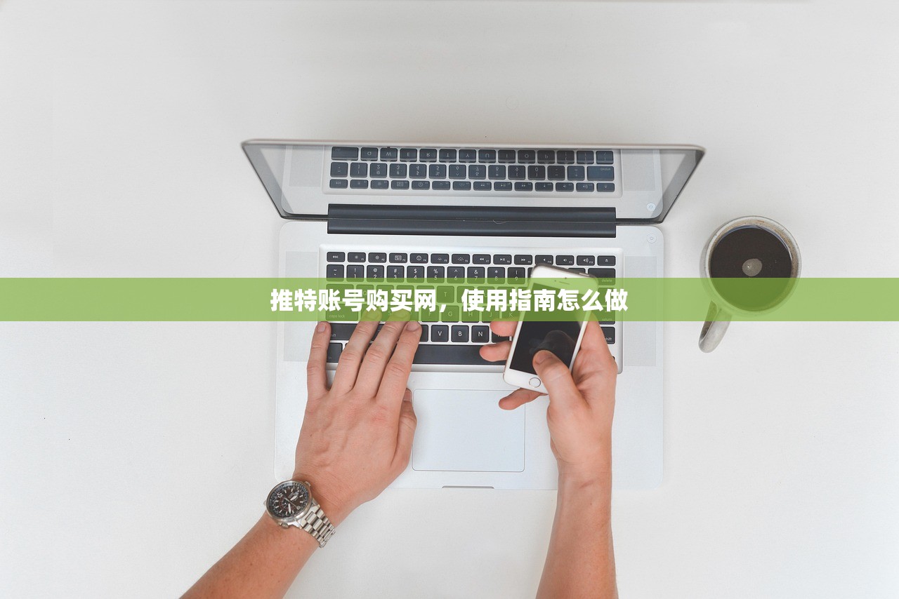 推特账号购买网,使用指南怎么做