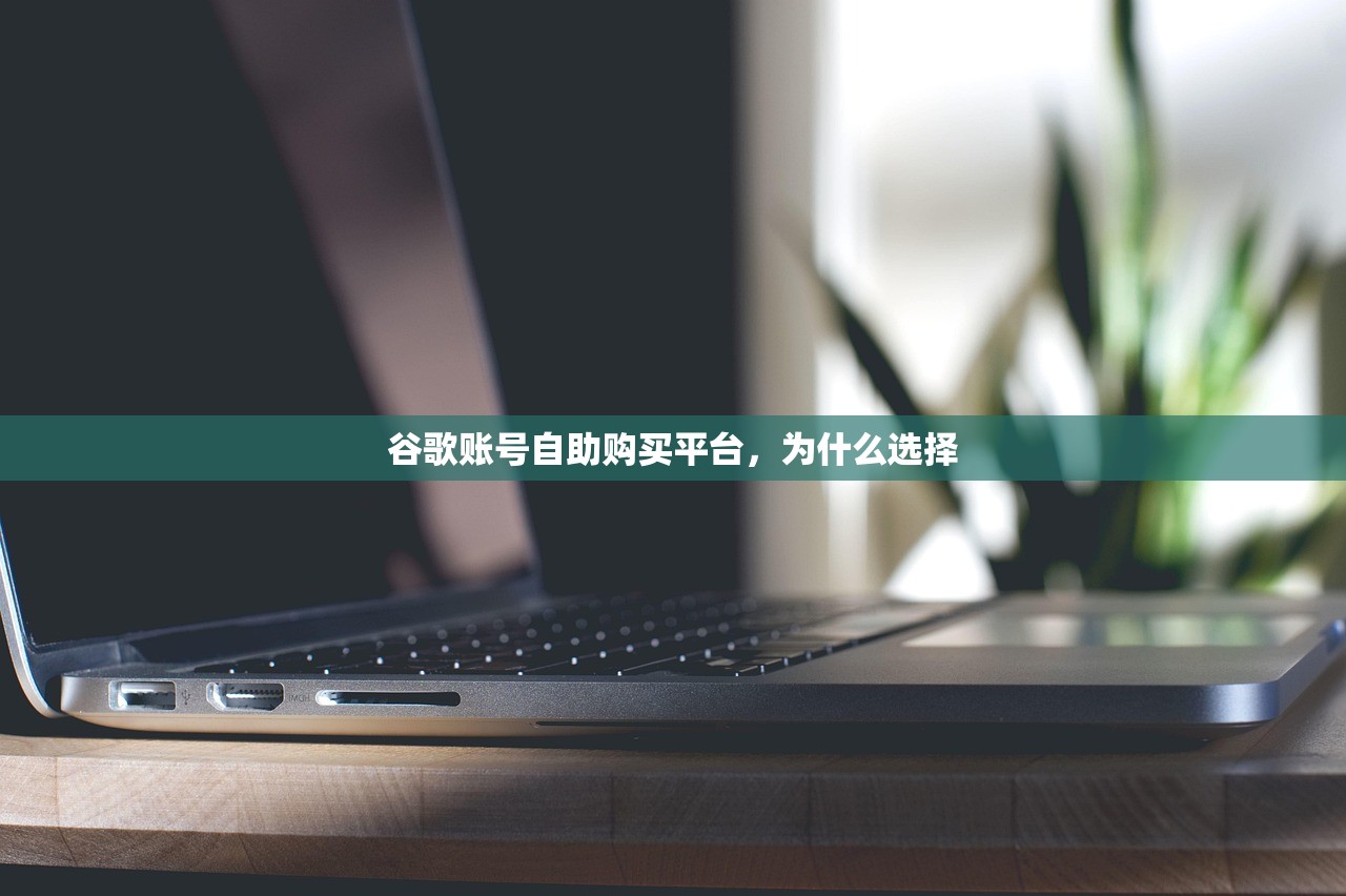 谷歌账号自助购买平台,为什么选择