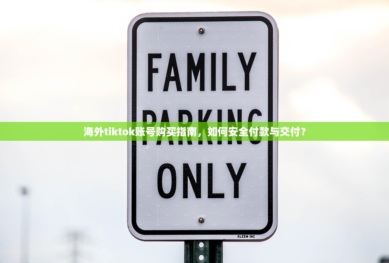 海外tiktok账号购买指南,如何安全付款与交付?