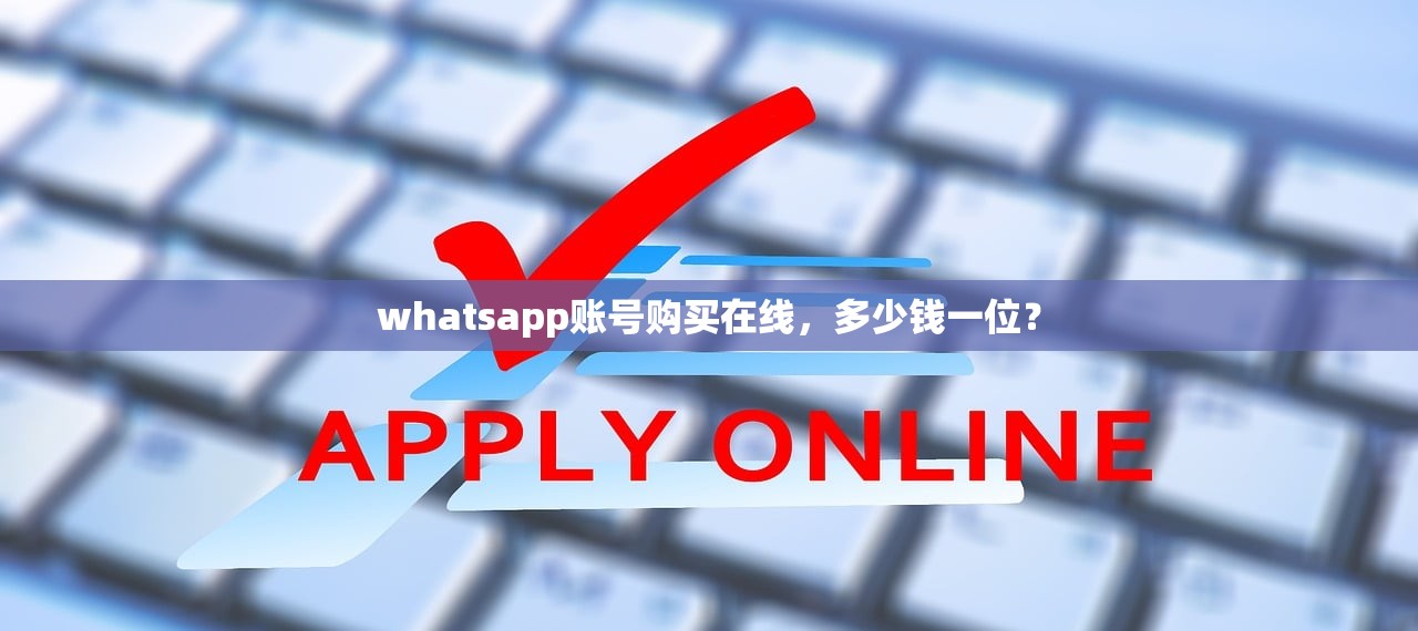 whatsapp账号购买在线,多少钱一位?