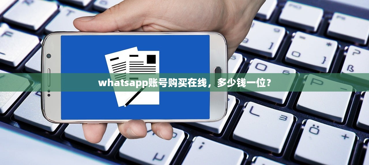 whatsapp账号购买在线,多少钱一位?