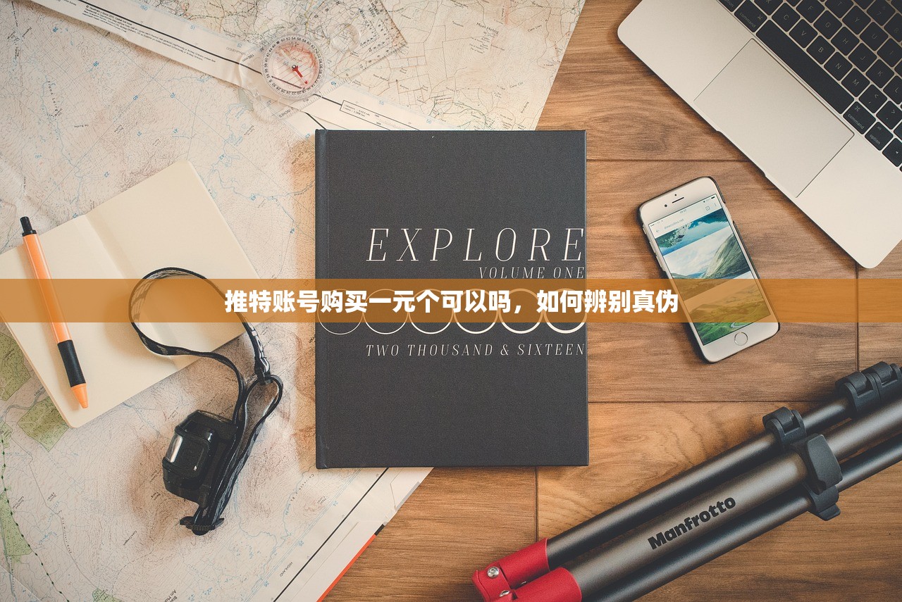 推特账号购买一元个可以吗，如何辨别真伪