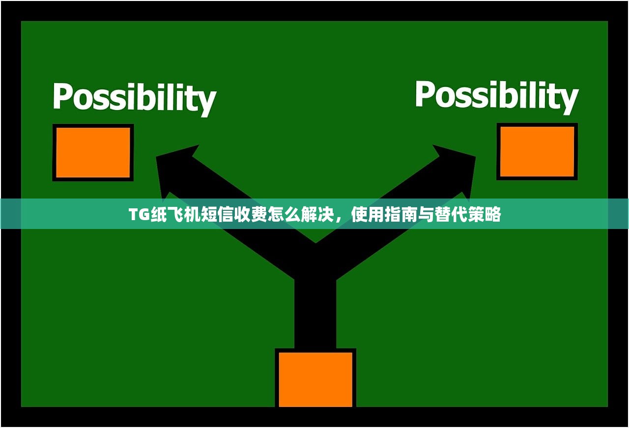 TG纸飞机短信收费怎么解决，使用指南与替代策略